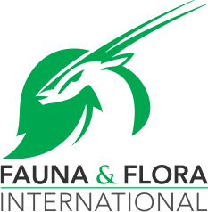 FFI Logo